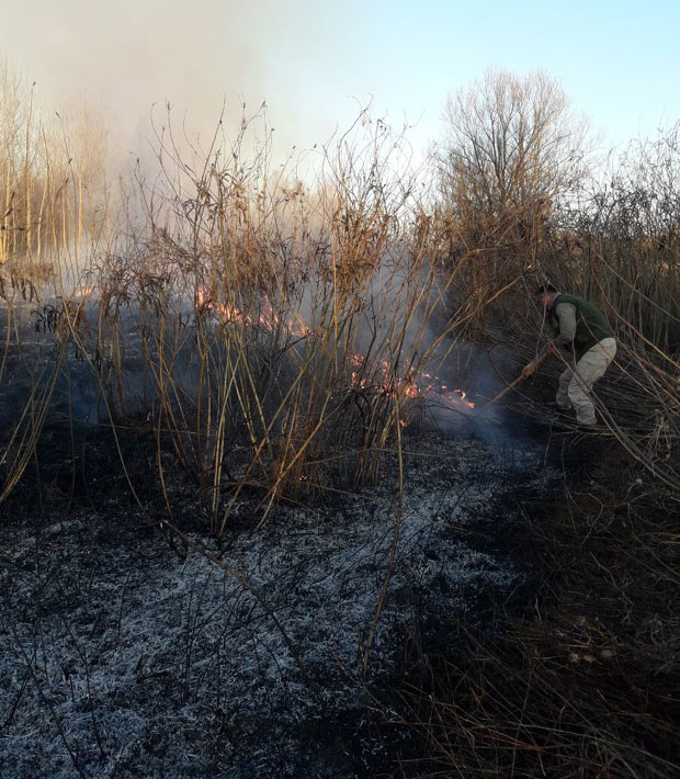 СЕРИЈА ПОЖАРА У ЈУЖНОБАЧКОМ ОКРУГУ: Горело на све стране!